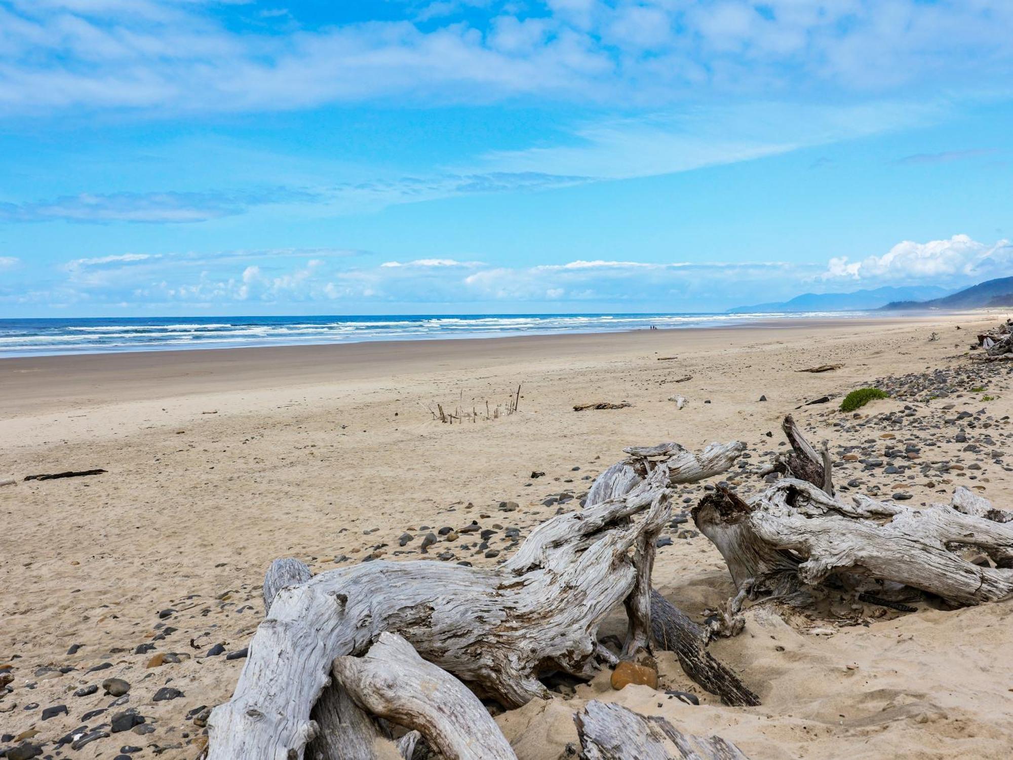 Woods Waves: Luxury Coast Cabin King Beds Pets Tillamook Esterno foto